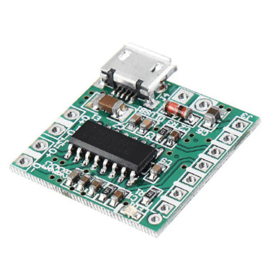 Pam8403 Class D Audio Amplifier Board | 5V DC Micro USB Amplifier